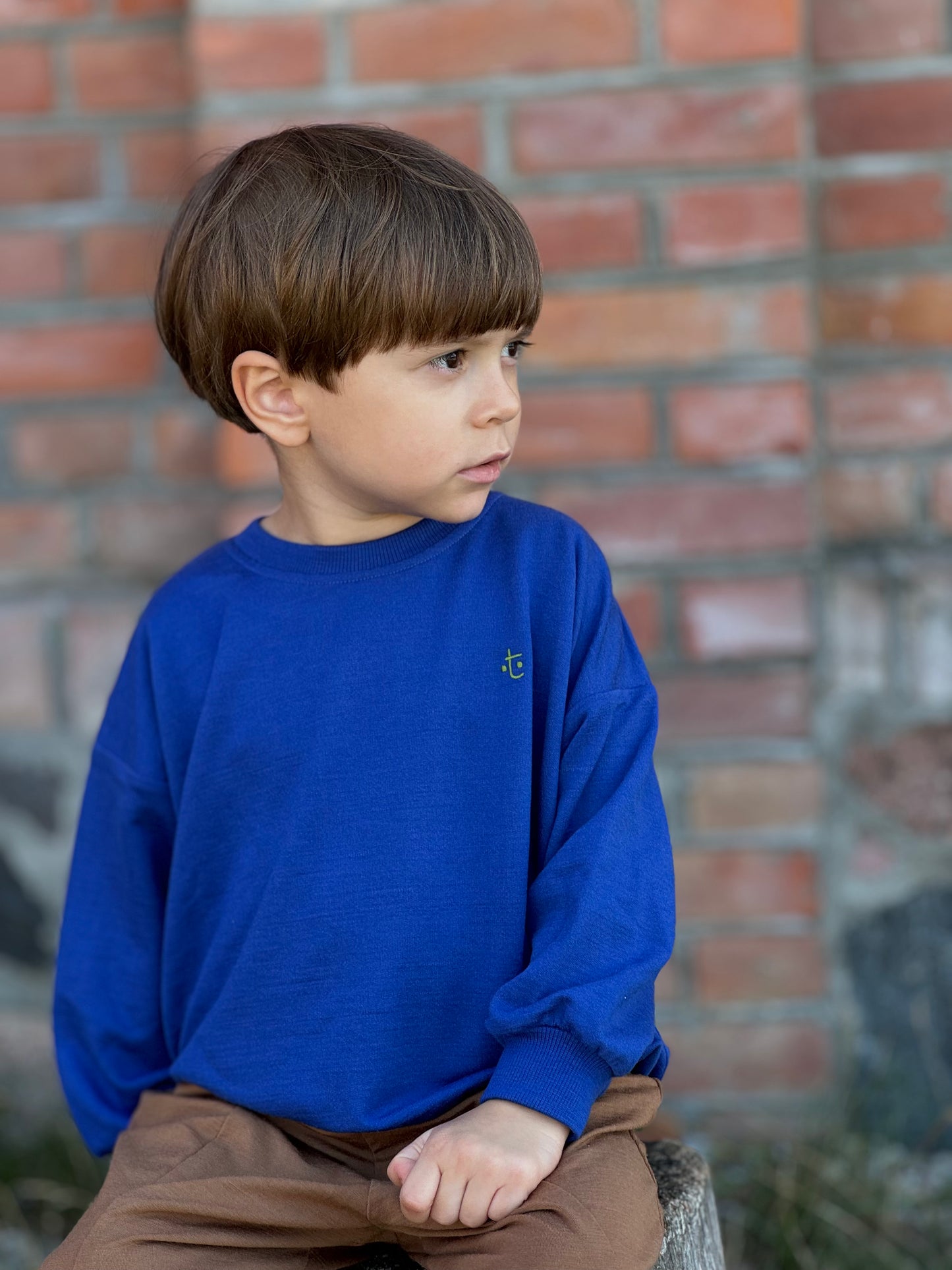 BLUZA DRESOWA RASCAL COBALT